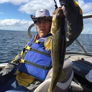 Meet your Posher, Ted